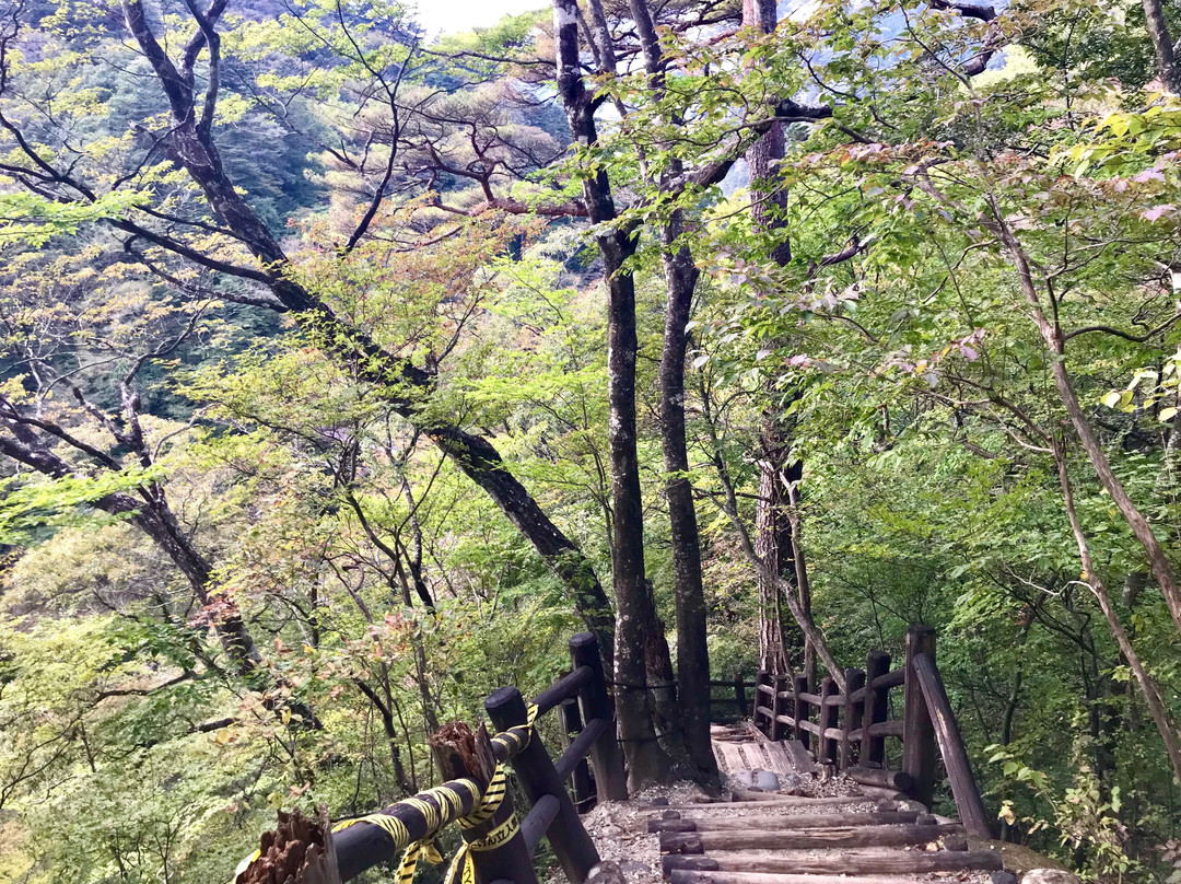 Mikaeri Suspension Bridge-那须盐原市必去景点