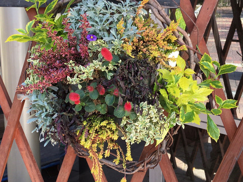 Greenpia Kasugai-春日井市必去景点