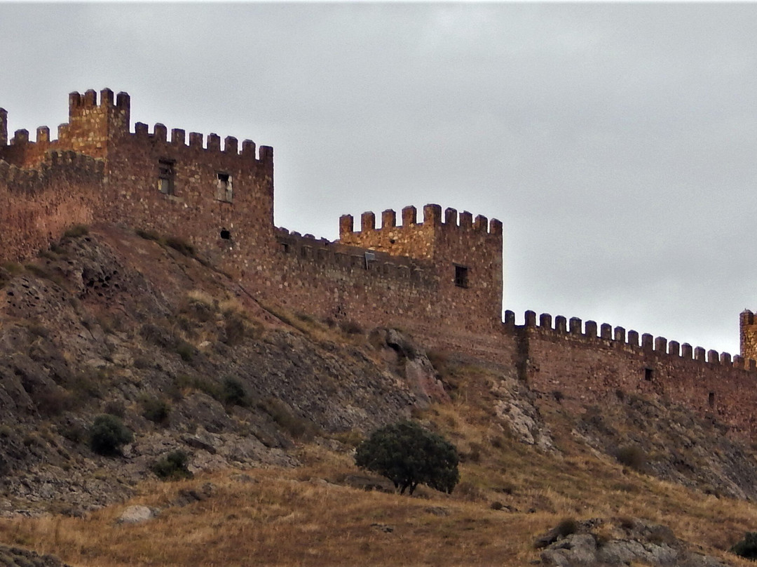 Castle of Riba de Santiuste景点图片