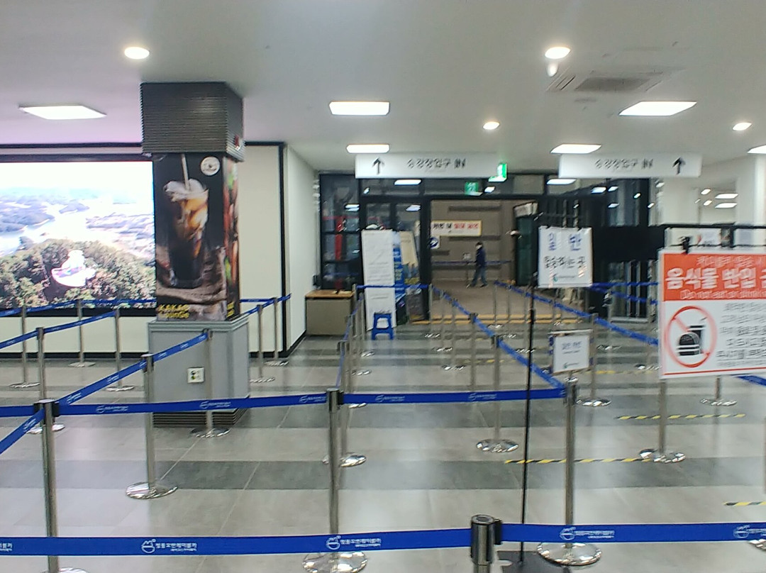 Cheongpung Cable Car-堤川市必去景点