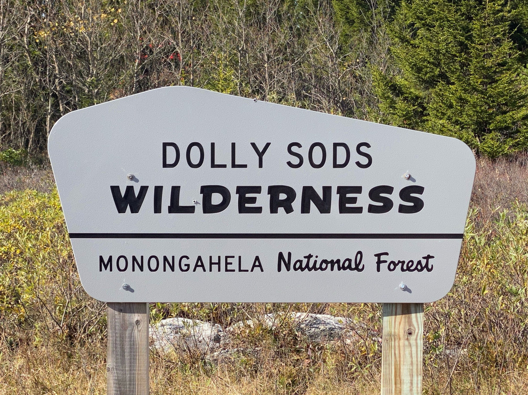 Dolly Sods Wilderness Area-Elkins必去景点