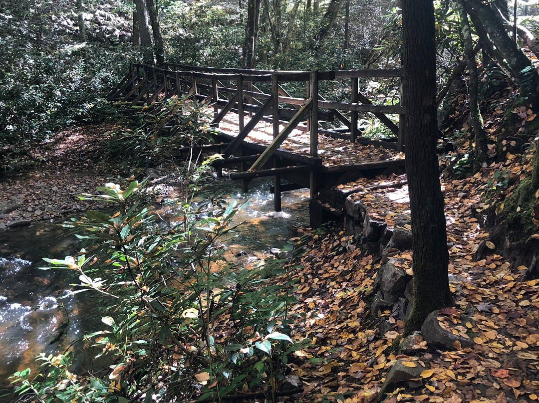 Laurel Fork Falls景点图片