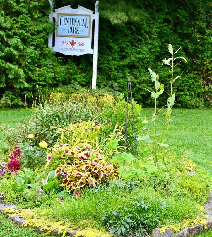 Baysville Riverfront景点图片
