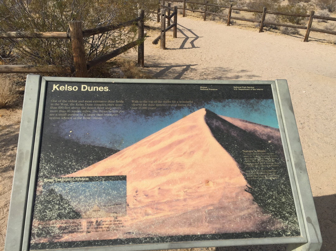 Kelso Dunes景点图片