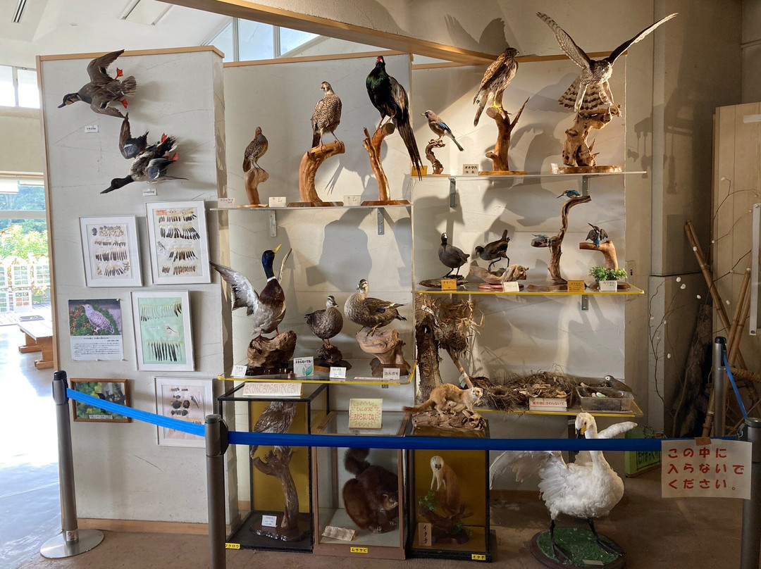 Ageo City Nature Learning Museum-上尾市必去景点