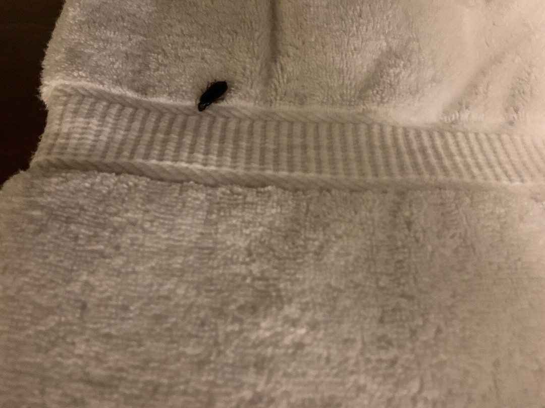 Comfort Suites Independence - Kansas City主图