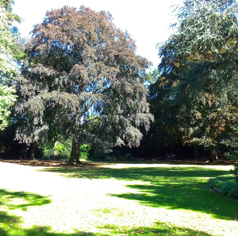 Stadtpark景点图片