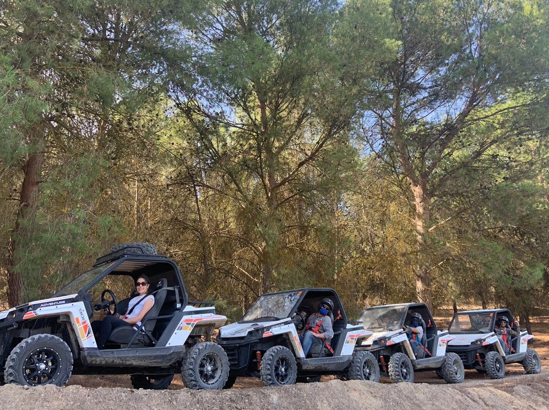 Monkeyland-阿米拉必去景点