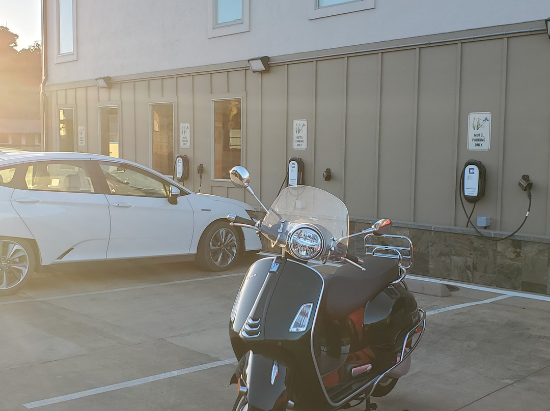 Wildflower Boutique Motel主图