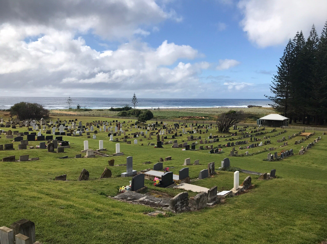 Pinetree Tours-诺福克岛必去景点