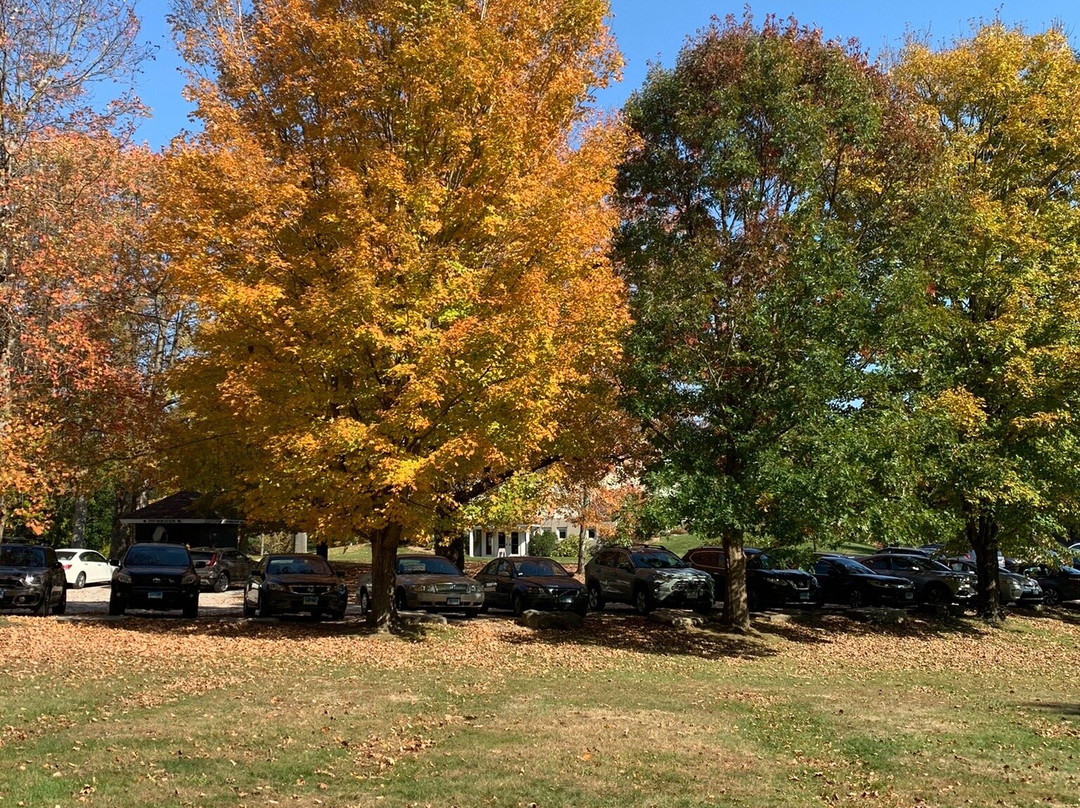 White Memorial Conservation Center-利奇菲尔德必去景点
