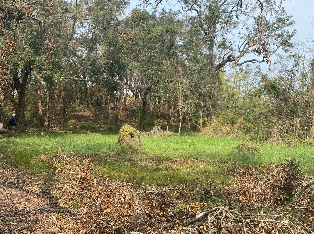 Indian Shell Mound Park景点图片