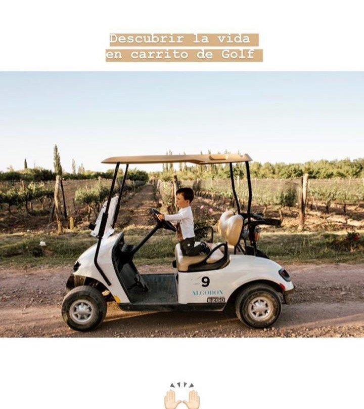 Algodon Winery-圣拉斐尔必去景点