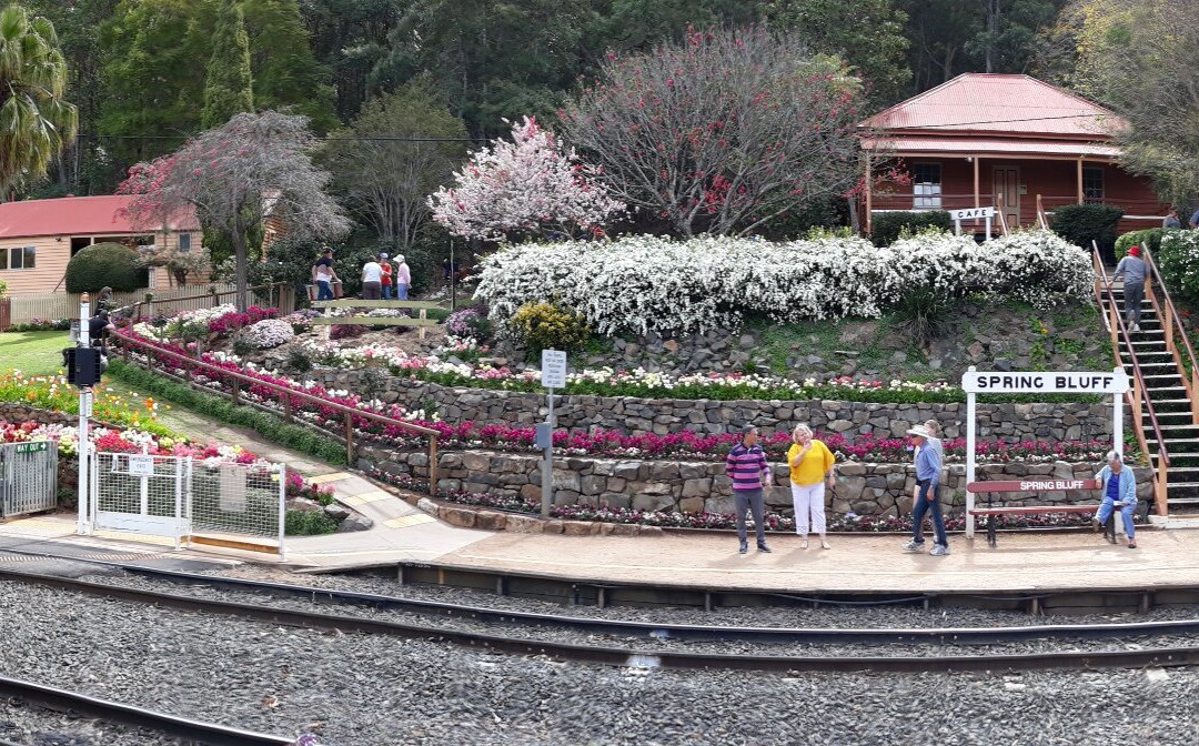 Spring Bluff Railway Station景点图片