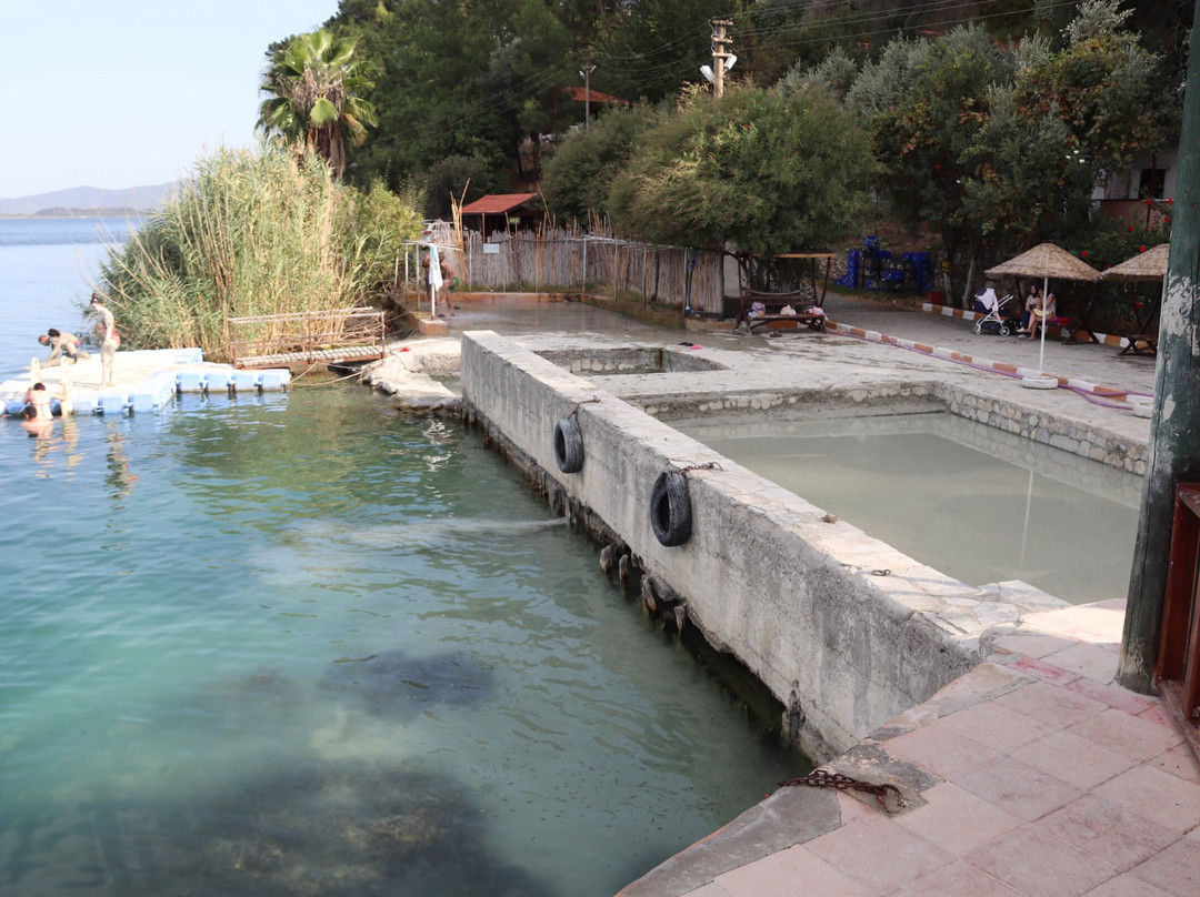 Sultaniye Thermals and Mud Baths景点图片