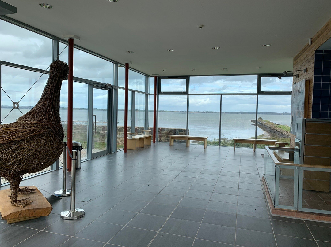 WWT Castle Espie Wetland Centre景点图片