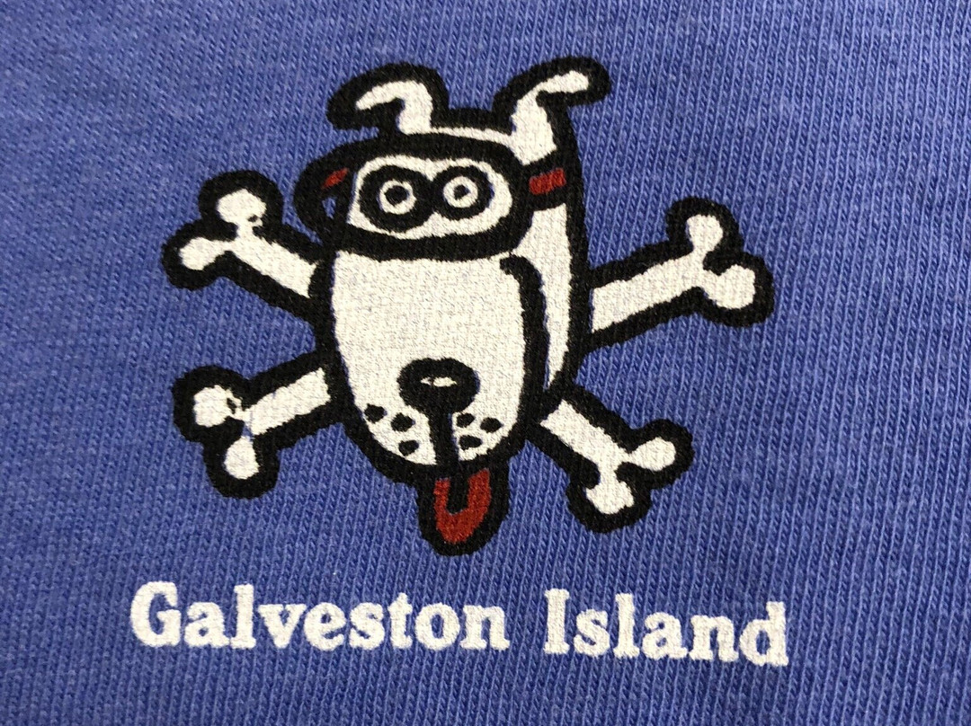 Yaga-盖维斯顿必去景点