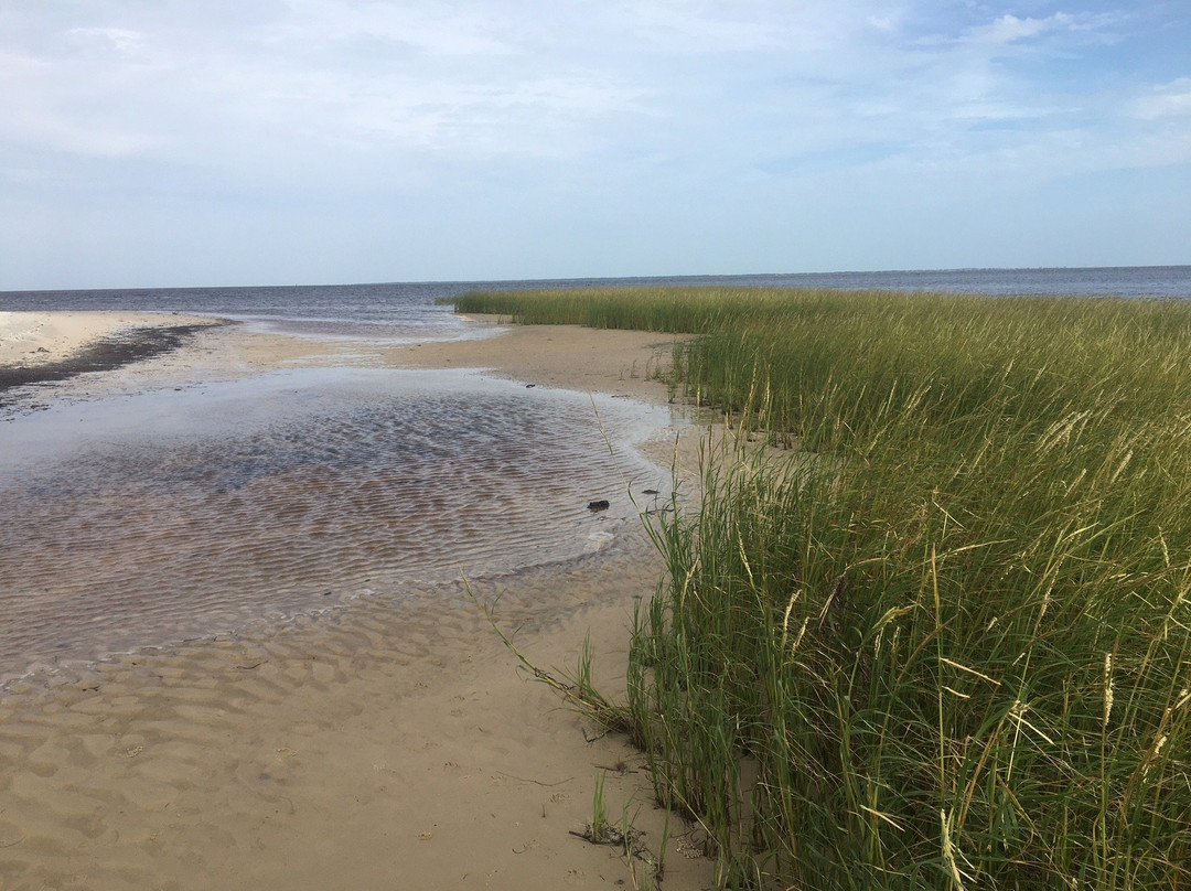 Carrabelle Beach景点图片