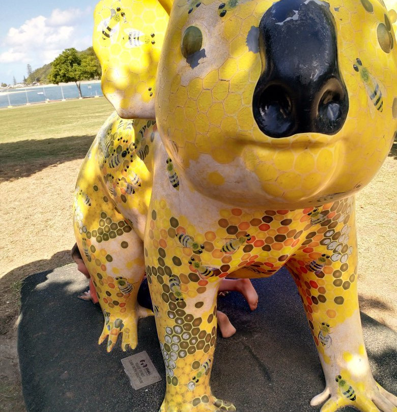 Palm Beach Parklands-棕榈海滩必去景点