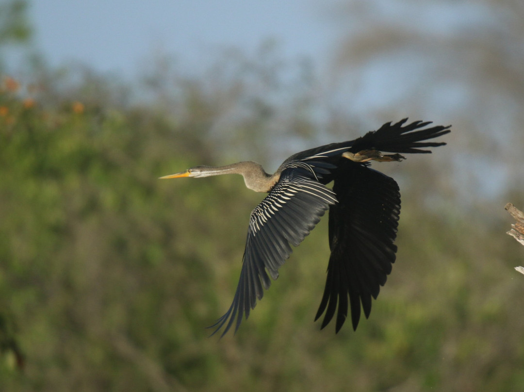 Mowgli Safari-蒂瑟默哈拉默必去景点