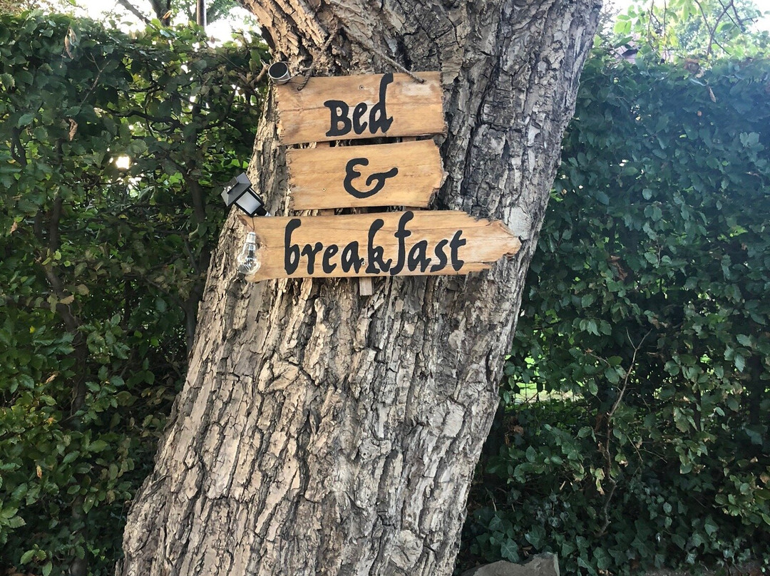 b&b Ool Inclusive主图
