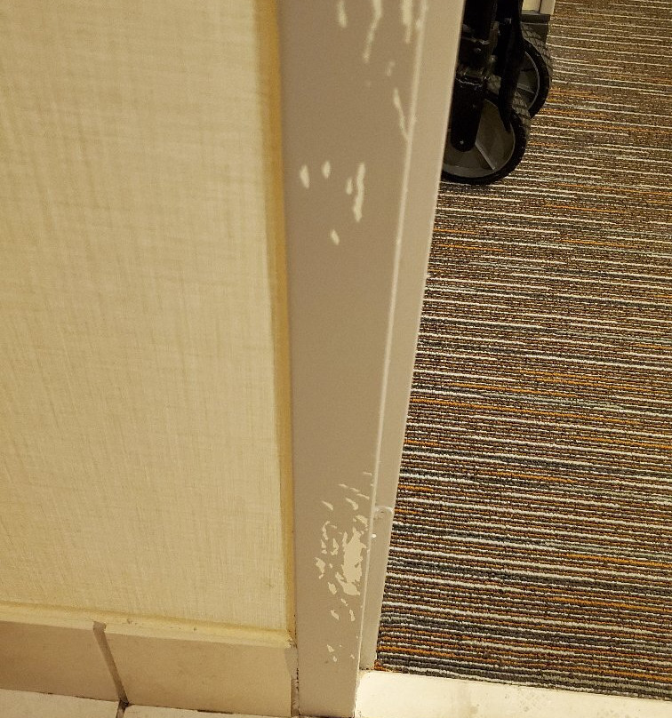 Wingate By Wyndham Shreveport Airport主图