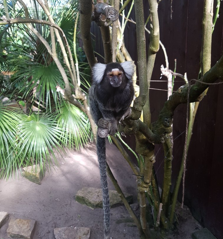 Texel Zoo-特塞尔必去景点