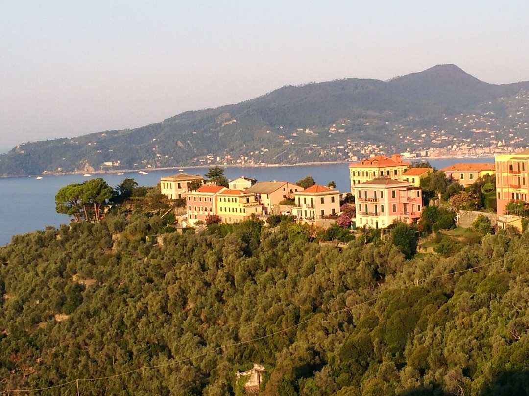 Chiesa di San Pietro di Rovereto景点图片