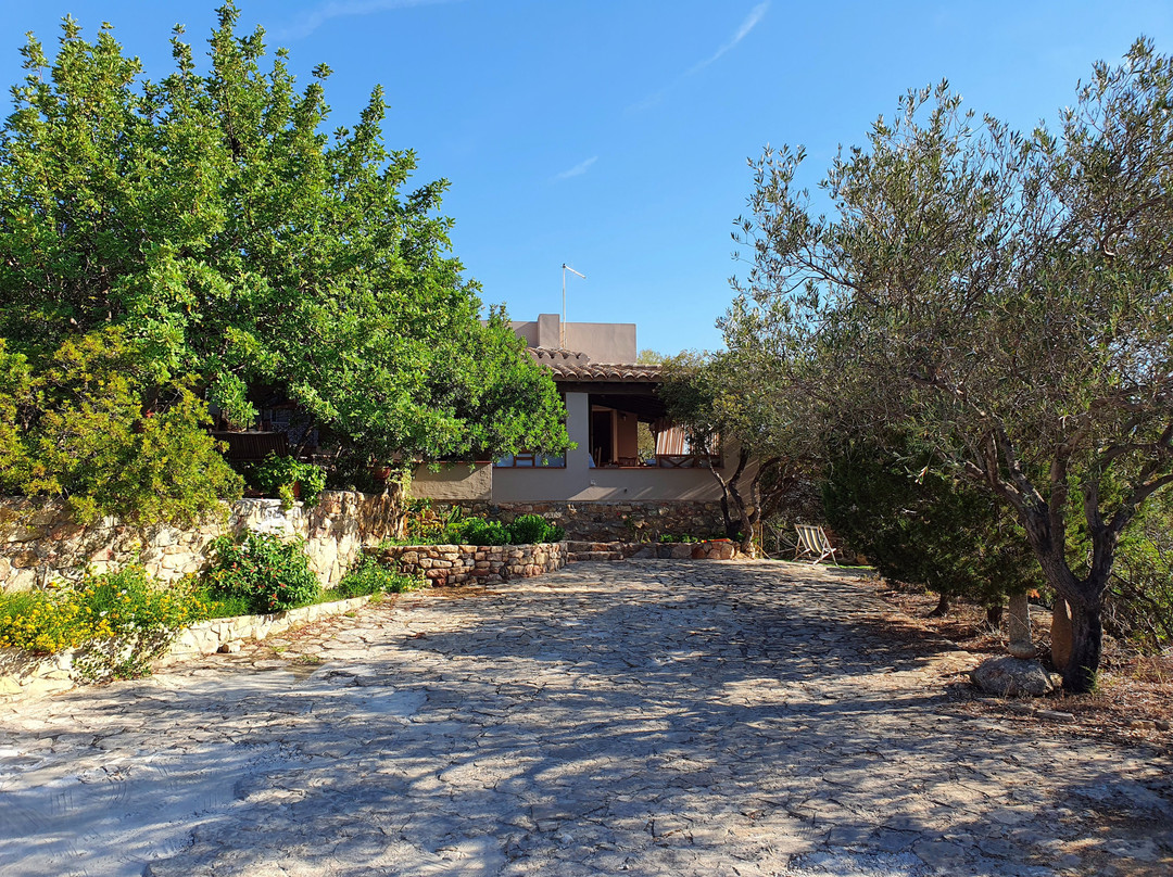 Sa Guardia de Ferricci主图