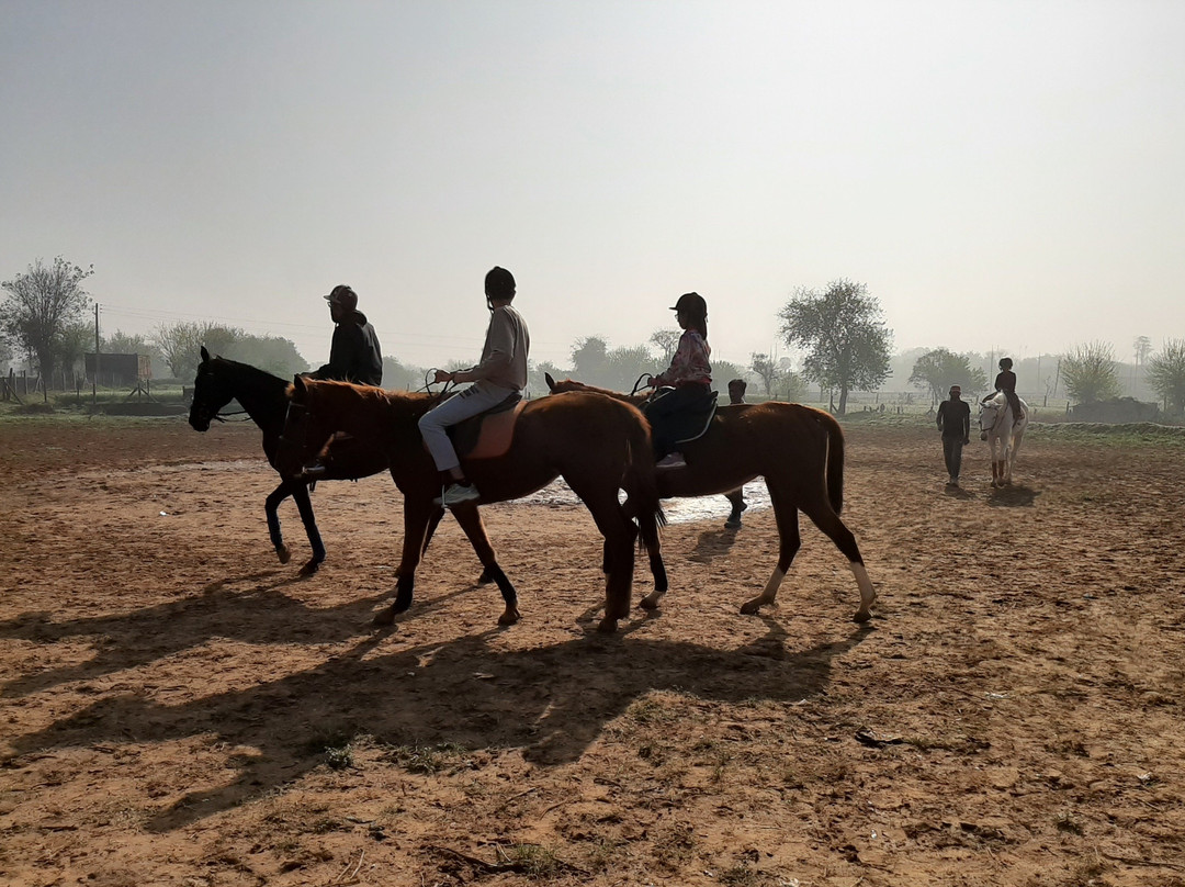 Duke Horse Riding Club-古尔冈必去景点
