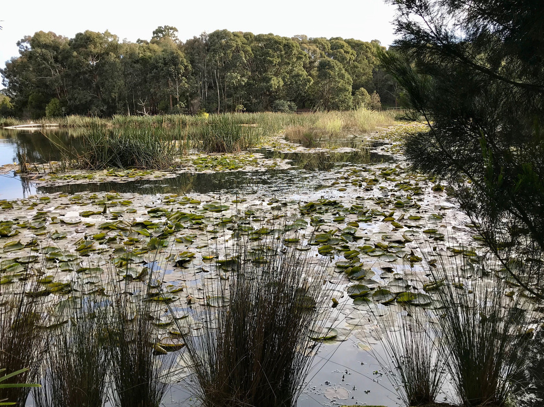 Traralgon Railway Reservoir Conservation Reserve-特拉拉尔根必去景点