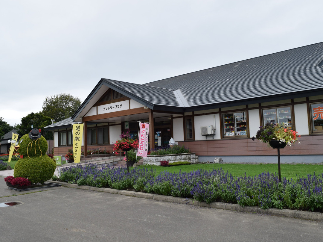 道之站 中札內-中札内村必去景点