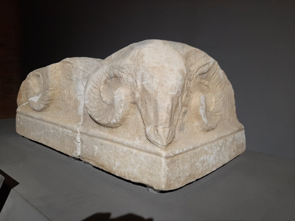 Museo Archeologico Di Cecina景点图片