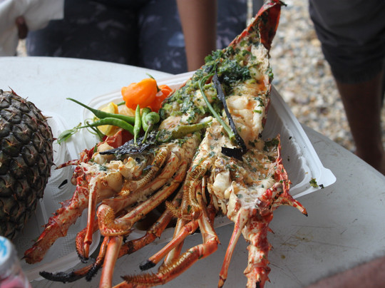 Earth Nation Events-特立尼达必去景点