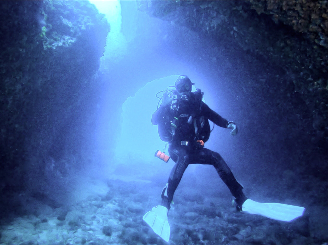 Indigo Dive Mondragó-Cala Mondrago必去景点