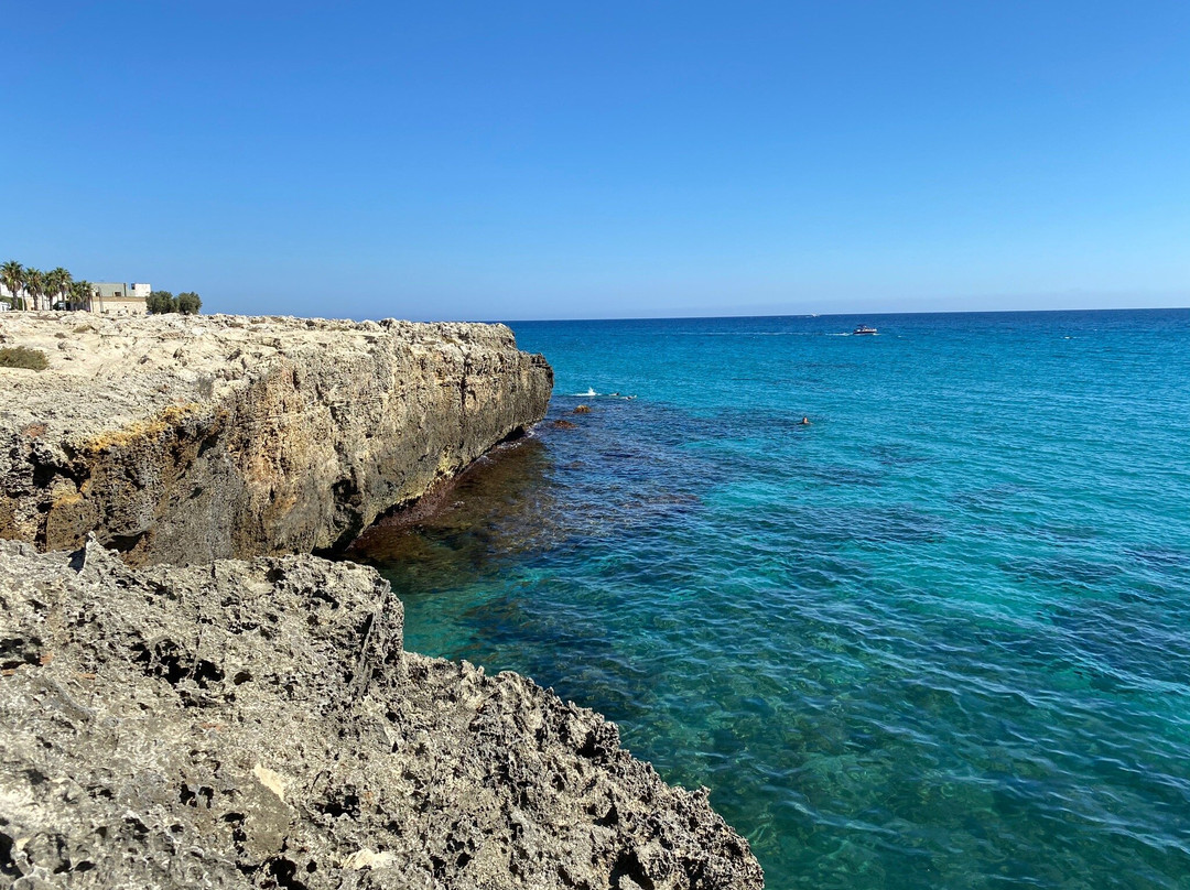 Roca旅游攻略图片