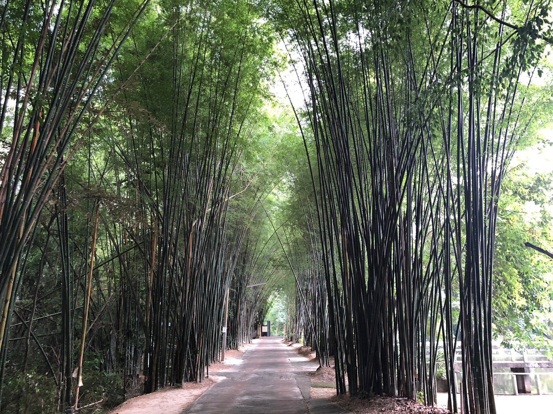 Wat Tham Saeng Phet景点图片