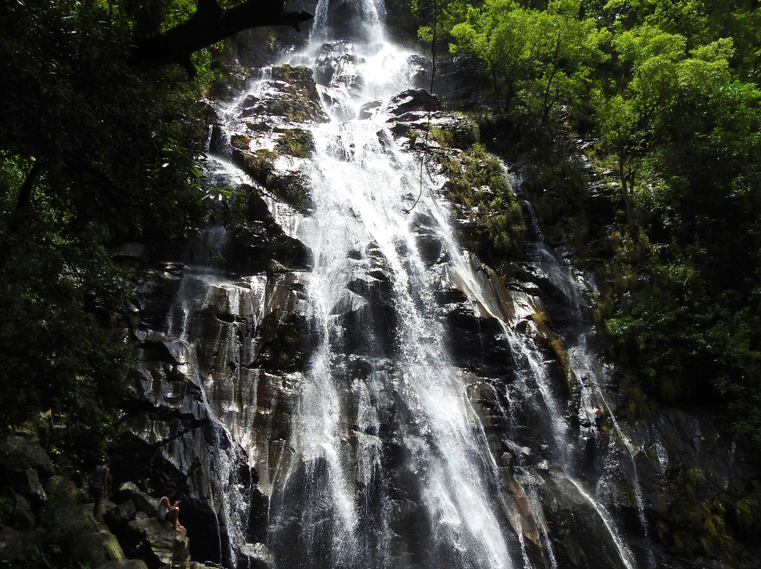 Bee Falls景点图片