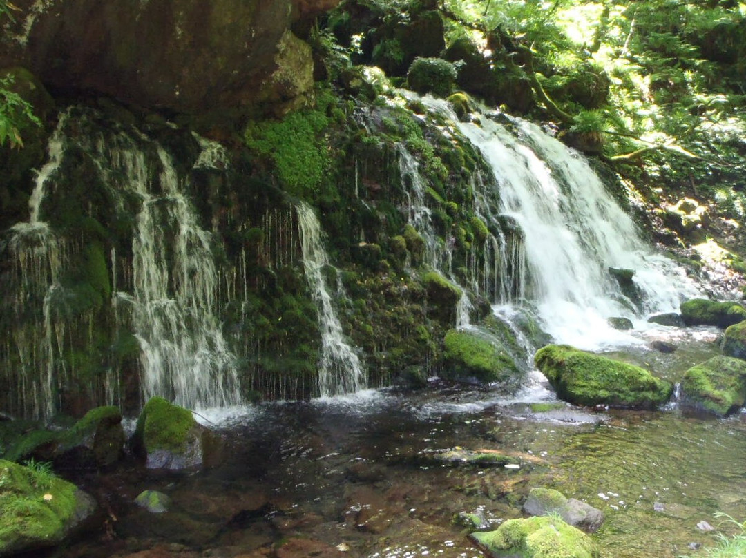 秋田县旅游攻略图片