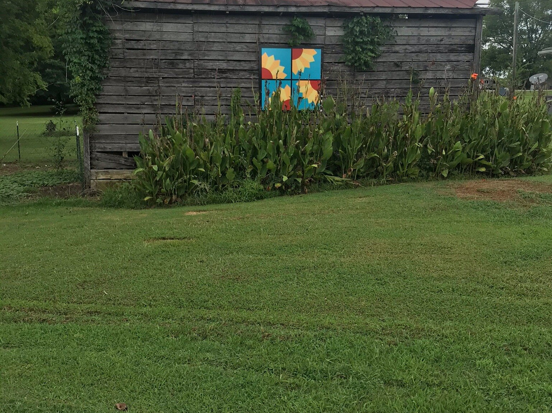 Alabama Barn Quilt Trail景点图片