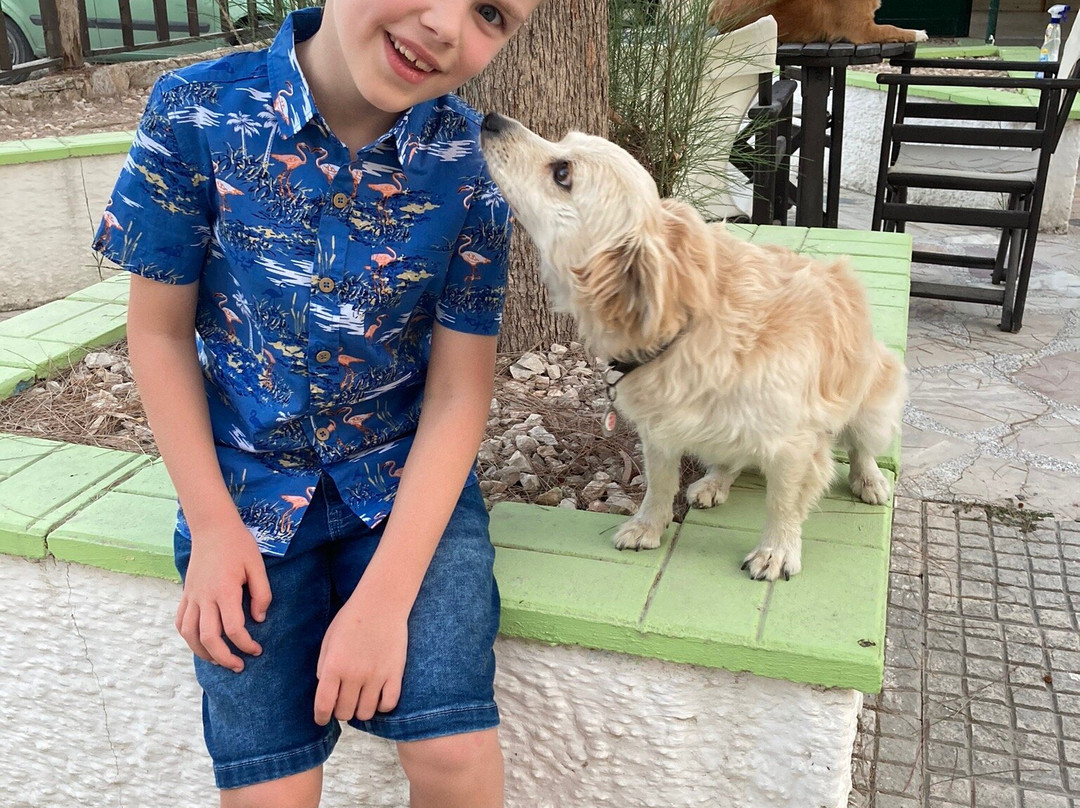 Cheers Bar-阿雷克斯必去景点