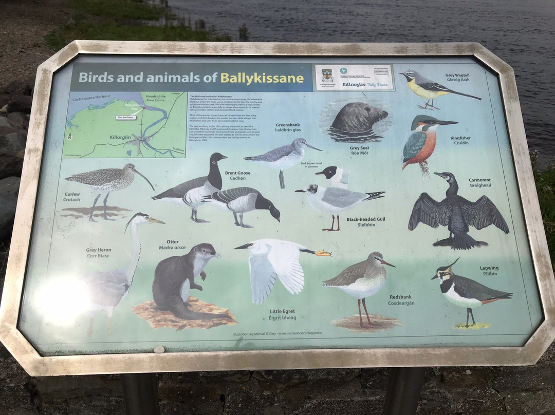 Ballykissane Pier-Killorglin必去景点
