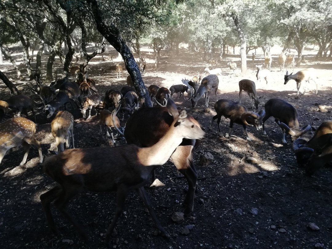 Camping La Chopera de Coto Rios
