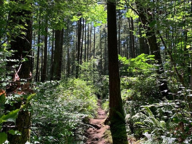 Watershed Park景点图片