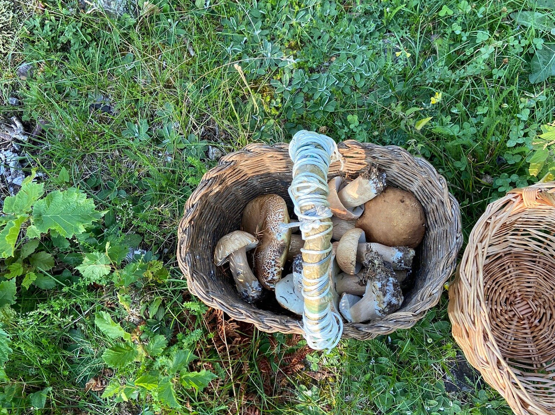 Hotel Salvanel主图