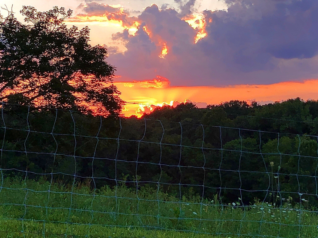 Holmes With A View主图