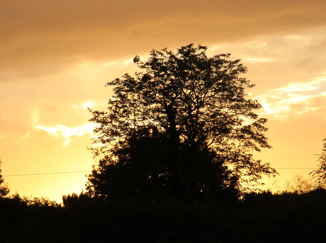 Posada El Abuelo de la Cachava主图