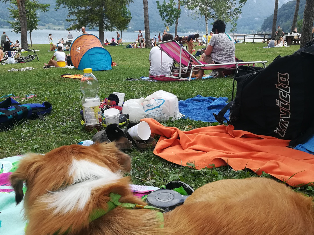 Spiaggia per Cani景点图片
