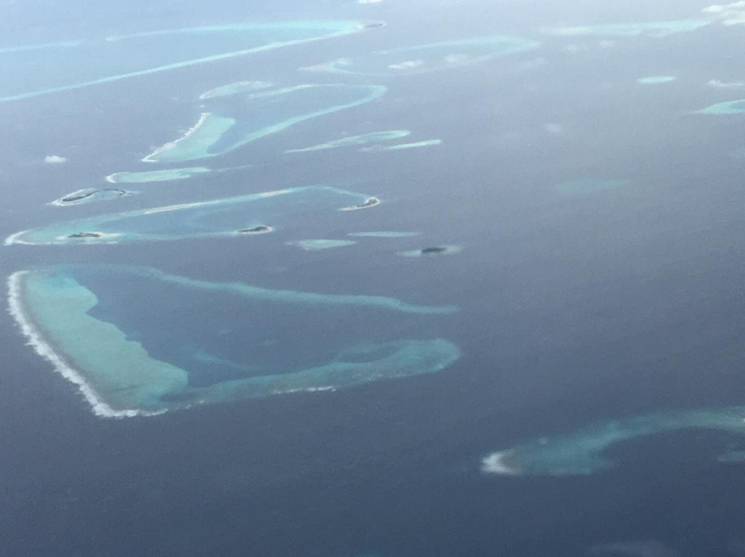 Goby Lodge guest house主图