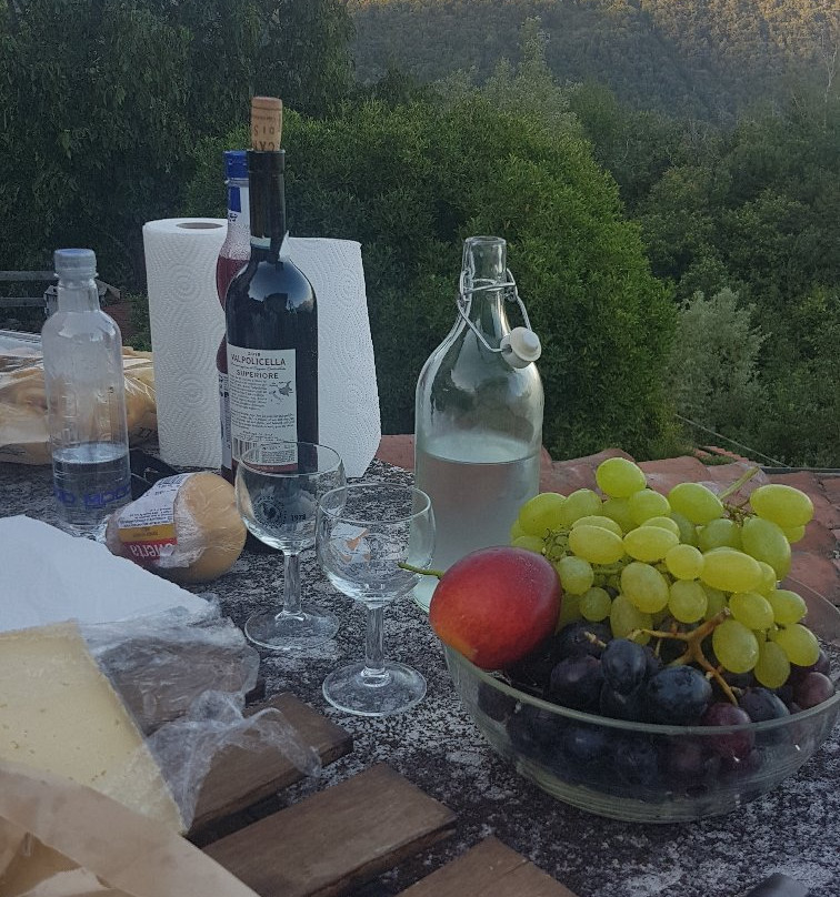 Agriturismo La Sorgente主图
